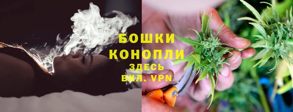 apvp Аркадак