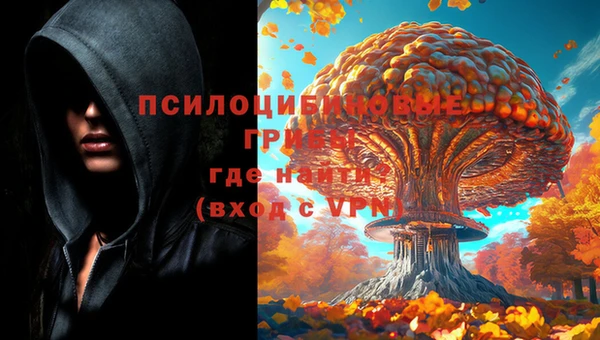 таблы Арсеньев