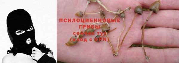 apvp Аркадак