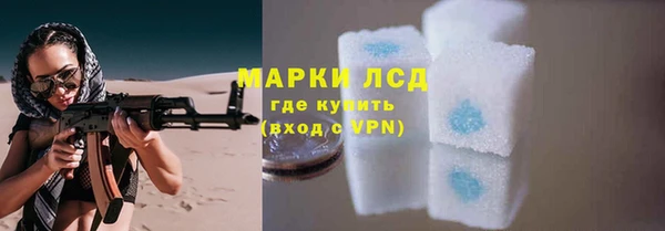 apvp Аркадак